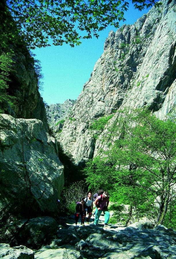 Apartmani Goga Starigrad Paklenica Exterior foto