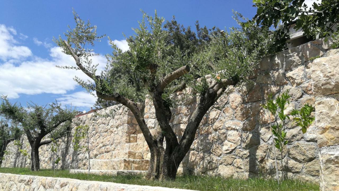 Apartmani Goga Starigrad Paklenica Exterior foto